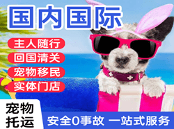 连云港花果山机场空运国际宠物托运 【国